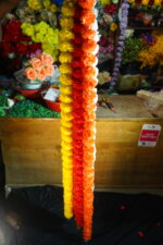ইন্ডিয়ান গেন্দা গেন্দা লহর LAMANSH 4.5 feet (Pack of 100 Hangings) Artificial Genda Marigold Garland Phool Flower hangings For Wedding, Party & Event Decoration - Image 3